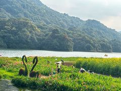 -广州市石门国家森林公园