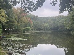 -灵谷景区
