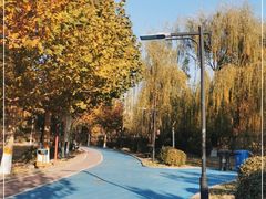 -太阳宫公园