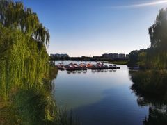 -大兴滨河森林公园