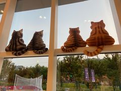 -飞行喵MR PILOT|猫舍·猫咖(静安大融城店)