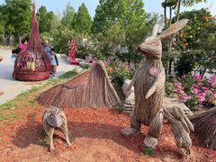 -北京西山国家森林公园