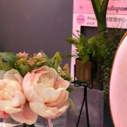 -Priscilla皮肤管理中心