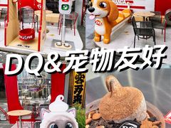 -DQ·蛋糕·冰淇淋(五角场万达店)