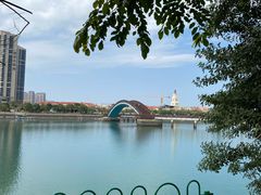 -五缘湾湿地公园