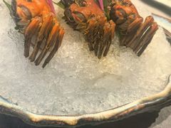 -福玺荟(外滩罗斯福店)