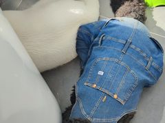 -萌兽医馆·眼科·异宠专科(三里屯店)