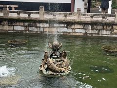 -上海醉白池公园