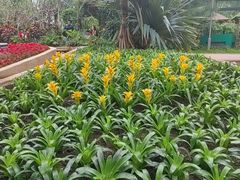 -南山植物园
