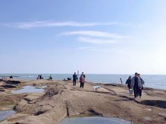 -巧克力渔家.小船海鲜胶东菜(万平口店)