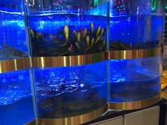 水产区-蛙一刀·麻椒鱼火锅(金仙桥店)