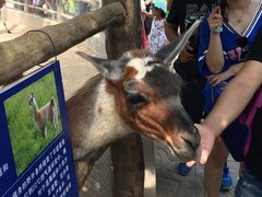 -西安秦岭野生动物园