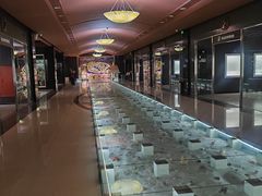 -青岛贝壳博物馆