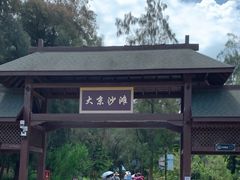 -大京沙滩