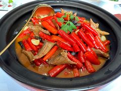 -长沙尼依格罗酒店