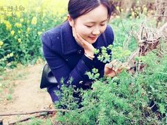 -三圣花乡旅游区