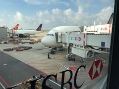 -新加坡航空公司(ION)