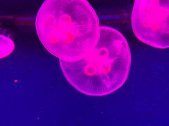 -波塞冬旅游度假区