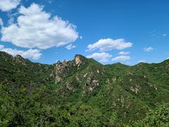 -大岭沟猕猴桃谷风景区