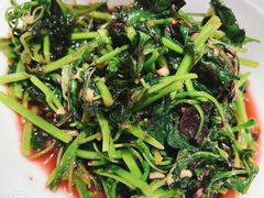 -新海渔港·胶东海鲜家常菜·家宴(奥体中心店)