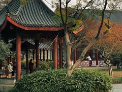 -堤角公园