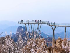 -狼牙山风景区