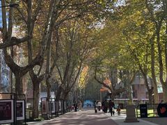 -西安电影制片厂