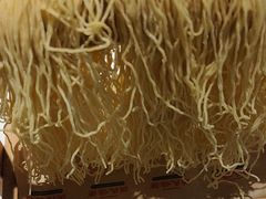 -洪氏嗨捞·猪肚鸡火锅(阳光天地店)