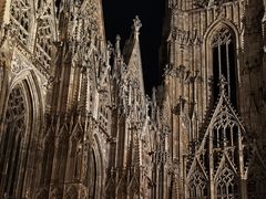 -斯蒂芬主教座堂(Stephansdom)