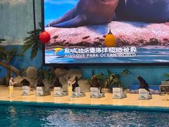 -泉城欧乐堡海洋极地世界