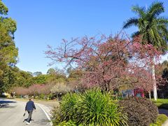 -广州市流溪河国家森林公园