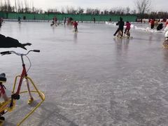 -绿野森林乐园冰雪季