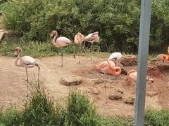-无锡动物园·太湖欢乐园