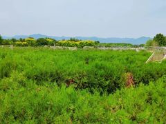 -亲兄弟真人CS团建拓展基地