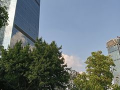 -重庆市江北嘴中央商务区中央公园