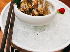 -CHIC1699远洋私厨