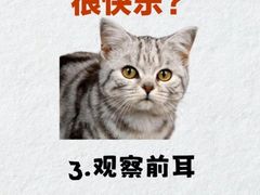 -喜多萌中农锦绣动物医院24H·猫科·牙科MRI·CT