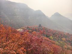 -狼牙山风景区