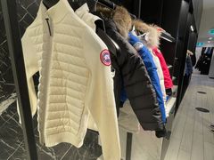 儿童区域大鹅-Canada Goose Vancouver