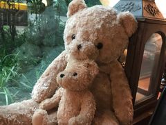 -咖法森林·咖啡  酒吧(天河店)