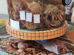 -荔城生鲜盛宴(番禺旗舰店)