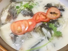 千岛湖浓汤鱼头-全乐鱼馆·淳牌有机鱼直营店