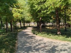 -谭老太正宗柳州螺狮粉(家和花园店)