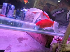 -粗粮人家·东北菜(洋桥店)