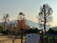 -塔川景区