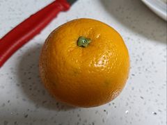 -上海大学(宝山校区)