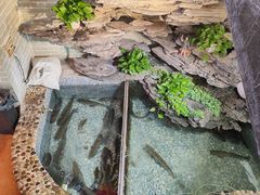 -山水茶艺馆·点心粤菜·30年老字号