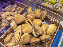 -北李·海肠捞饭·大连菜(望京凯德MALL店)