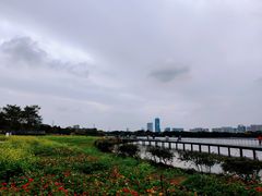 -海珠湖公园