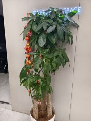 -崇尚GAVIN STYLE臻选